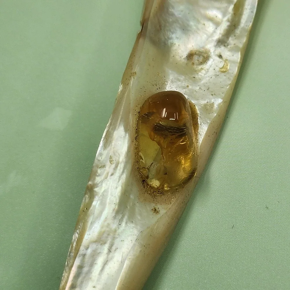 Mother of Pearl Shell Pendant Amber Tone Cabochon Long Tapered Artisan Jewelry